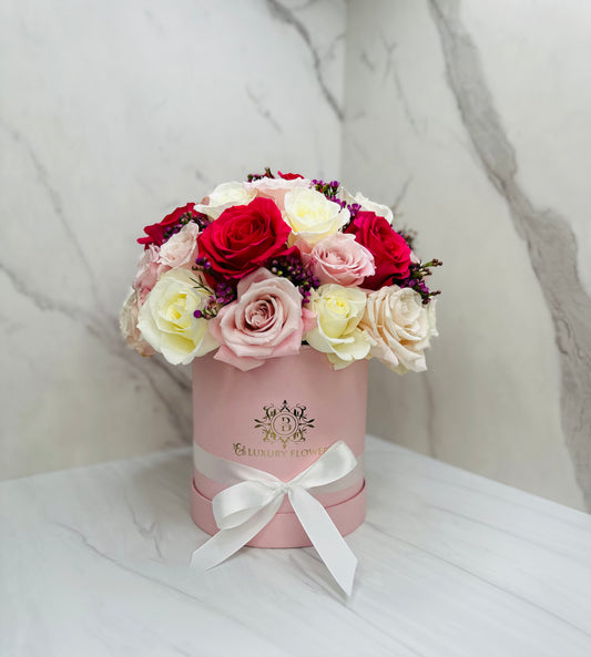 Regal Rose Radiance