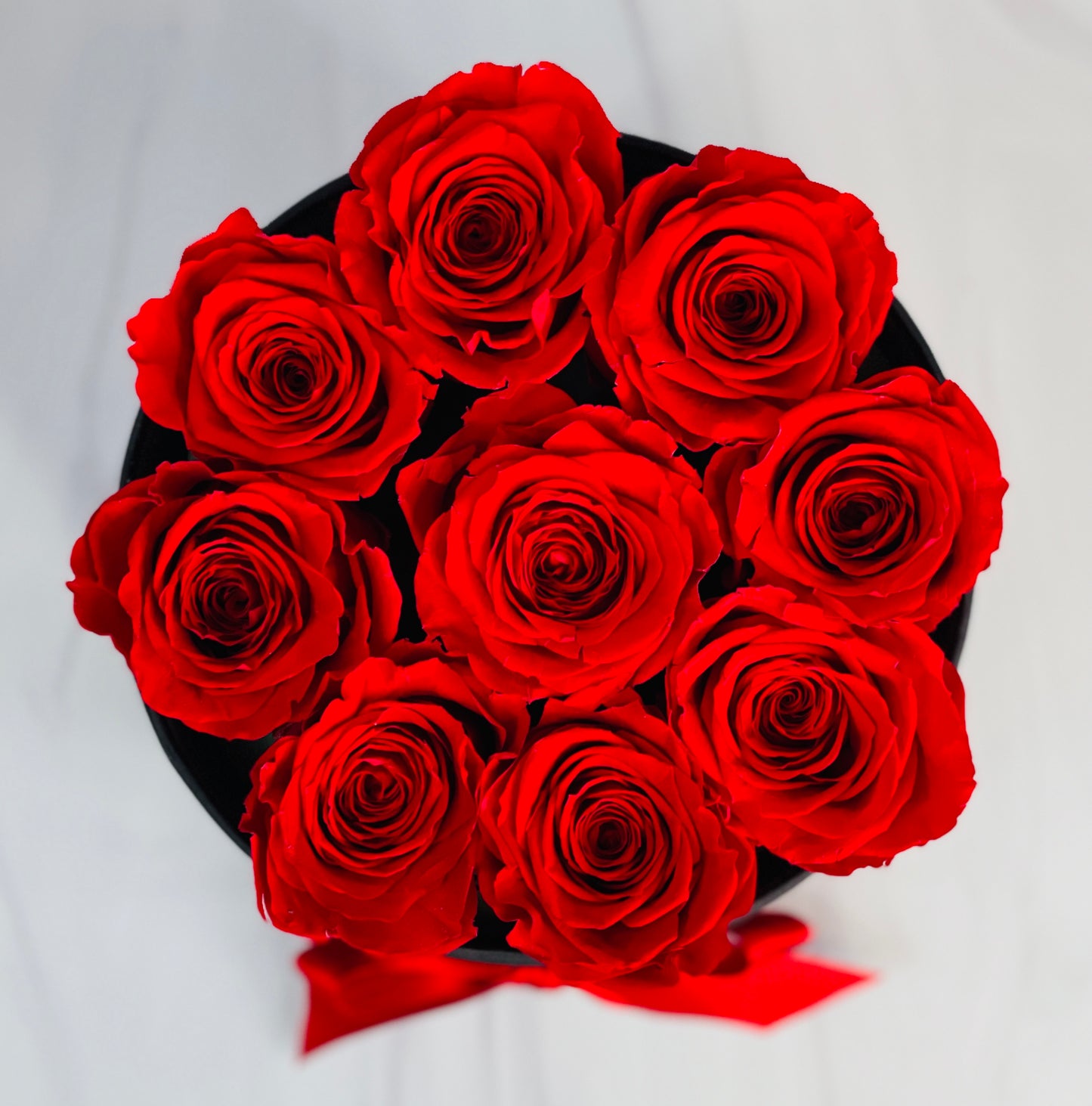 Round Elegance: 9 Preserved Roses Box