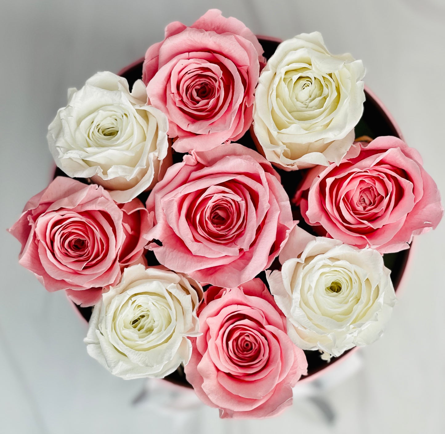Round Elegance: 9 Preserved Roses Box